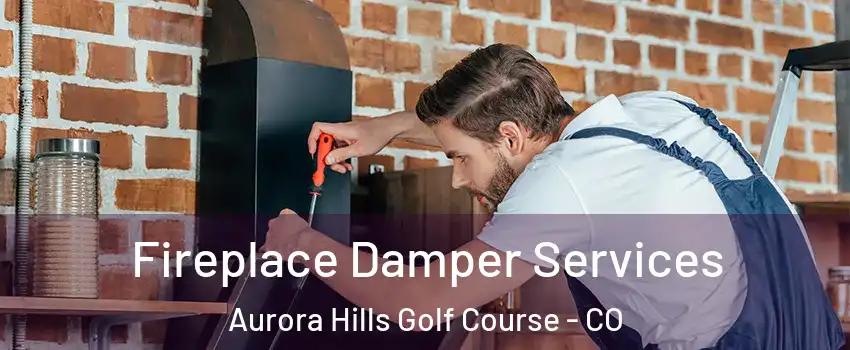 Fireplace Damper Services Aurora Hills Golf Course - CO