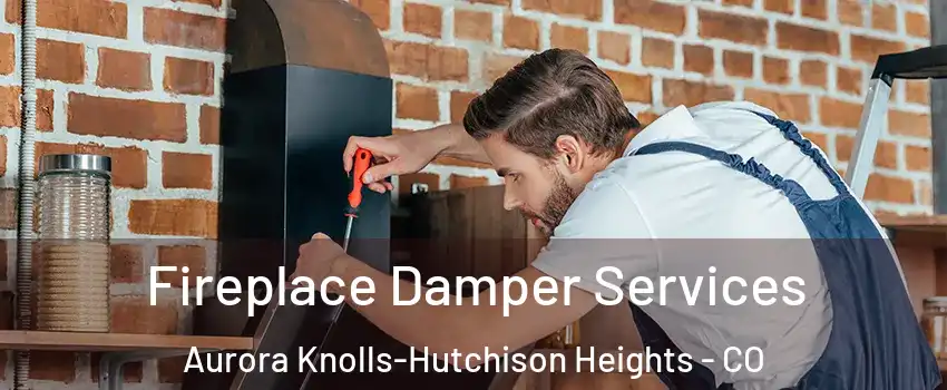 Fireplace Damper Services Aurora Knolls-Hutchison Heights - CO