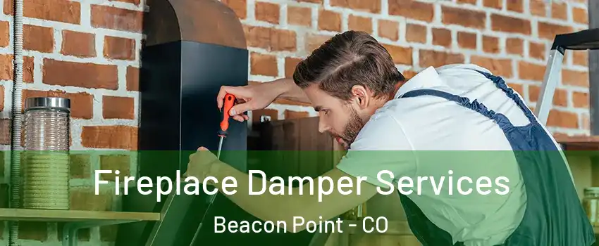 Fireplace Damper Services Beacon Point - CO