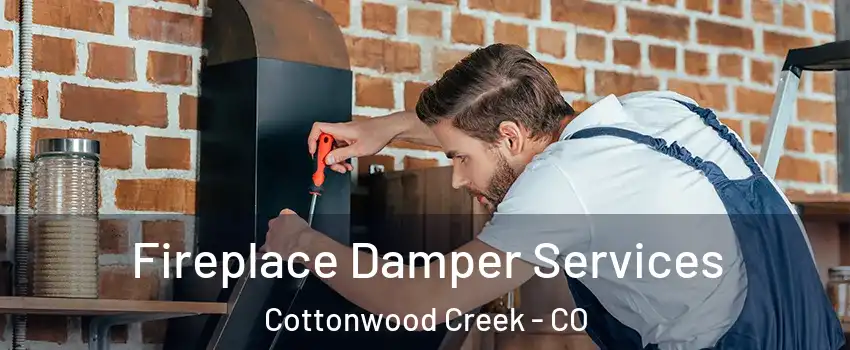 Fireplace Damper Services Cottonwood Creek - CO