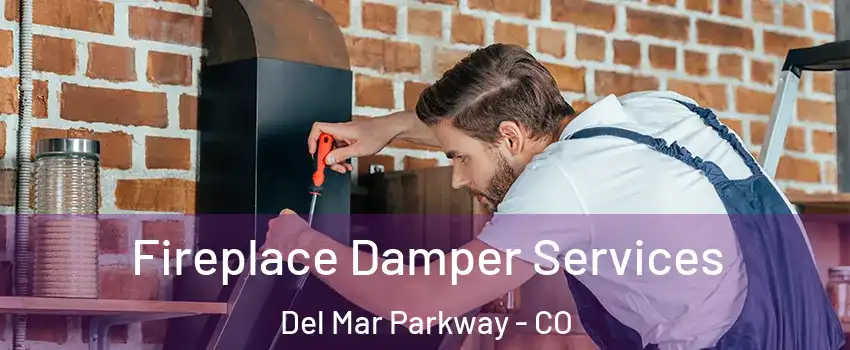 Fireplace Damper Services Del Mar Parkway - CO