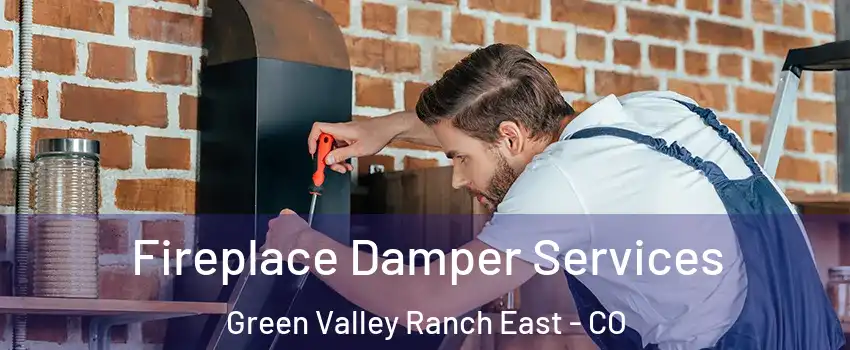 Fireplace Damper Services Green Valley Ranch East - CO