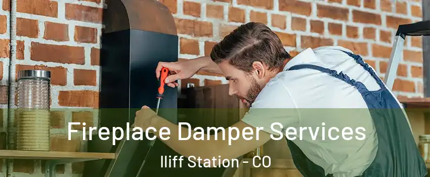 Fireplace Damper Services Iliff Station - CO