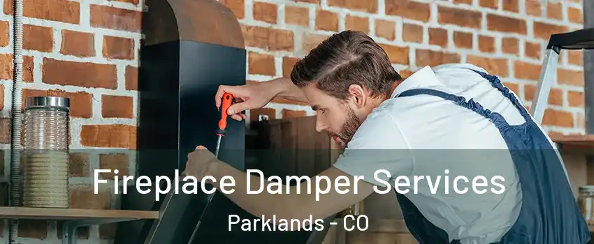 Fireplace Damper Services Parklands - CO