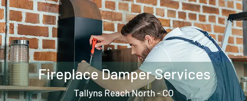 Fireplace Damper Services Tallyns Reach North - CO