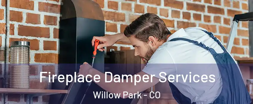 Fireplace Damper Services Willow Park - CO