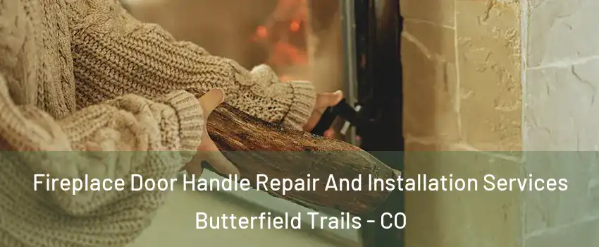 Fireplace Door Handle Repair And Installation Services Butterfield Trails - CO