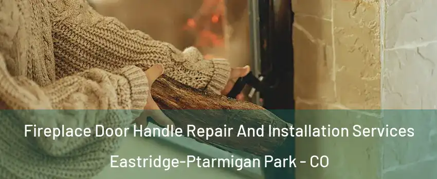 Fireplace Door Handle Repair And Installation Services Eastridge-Ptarmigan Park - CO