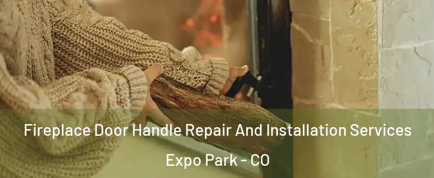 Fireplace Door Handle Repair And Installation Services Expo Park - CO