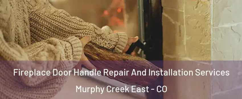 Fireplace Door Handle Repair And Installation Services Murphy Creek East - CO