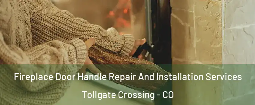 Fireplace Door Handle Repair And Installation Services Tollgate Crossing - CO