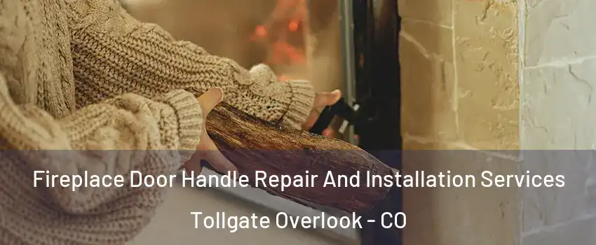 Fireplace Door Handle Repair And Installation Services Tollgate Overlook - CO