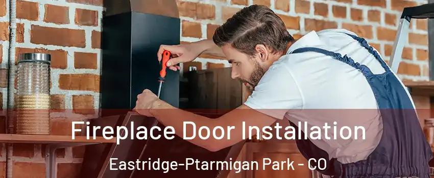 Fireplace Door Installation Eastridge-Ptarmigan Park - CO