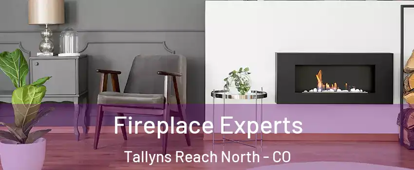 Fireplace Experts Tallyns Reach North - CO