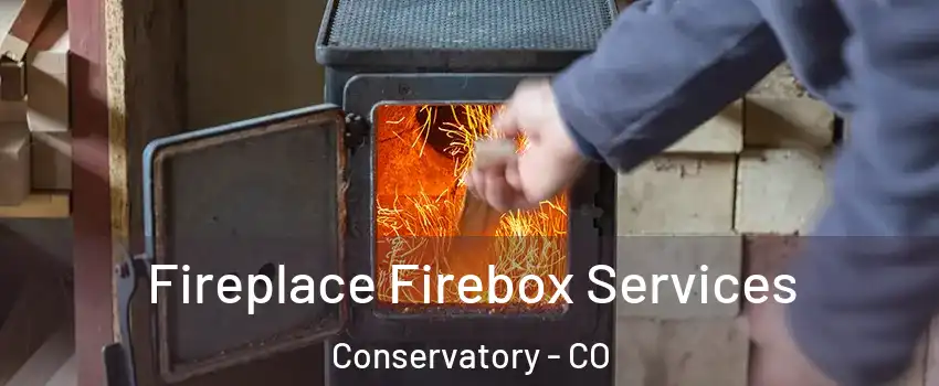 Fireplace Firebox Services Conservatory - CO