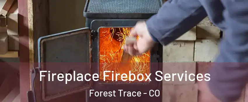 Fireplace Firebox Services Forest Trace - CO