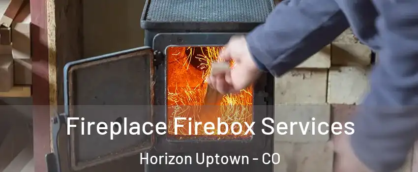 Fireplace Firebox Services Horizon Uptown - CO