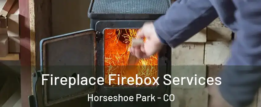 Fireplace Firebox Services Horseshoe Park - CO