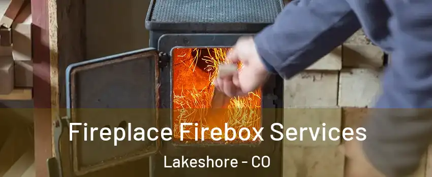 Fireplace Firebox Services Lakeshore - CO