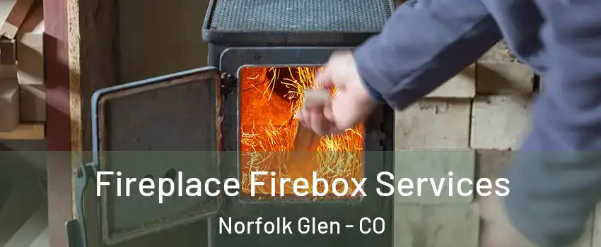 Fireplace Firebox Services Norfolk Glen - CO