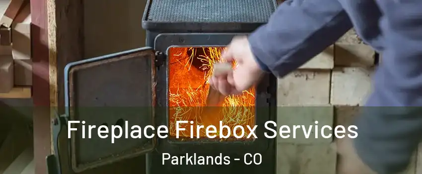 Fireplace Firebox Services Parklands - CO