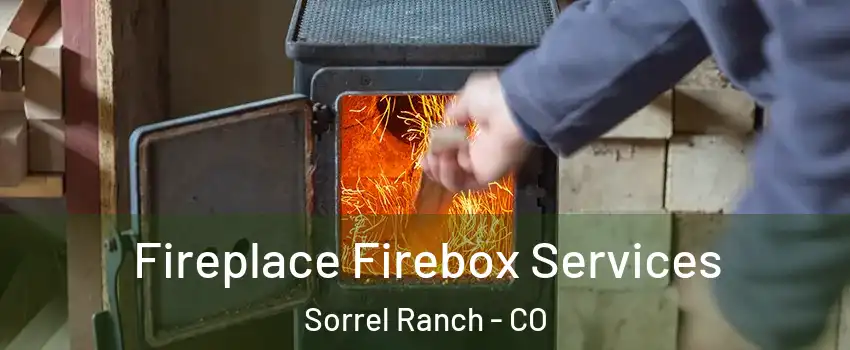 Fireplace Firebox Services Sorrel Ranch - CO