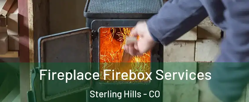 Fireplace Firebox Services Sterling Hills - CO