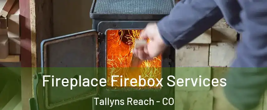 Fireplace Firebox Services Tallyns Reach - CO