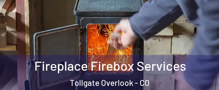 Fireplace Firebox Services Tollgate Overlook - CO