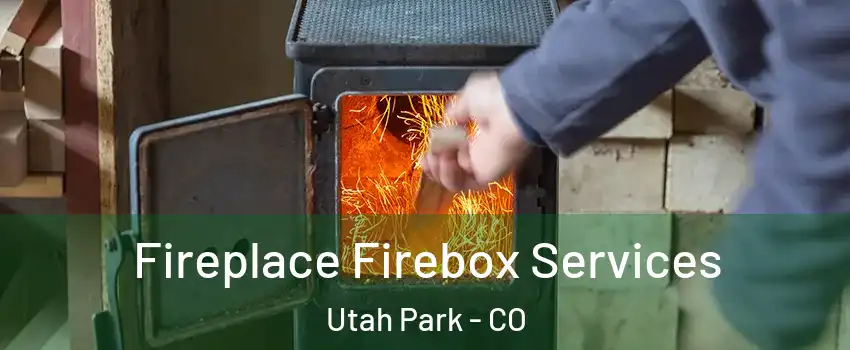 Fireplace Firebox Services Utah Park - CO