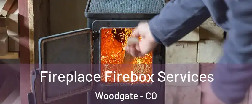 Fireplace Firebox Services Woodgate - CO