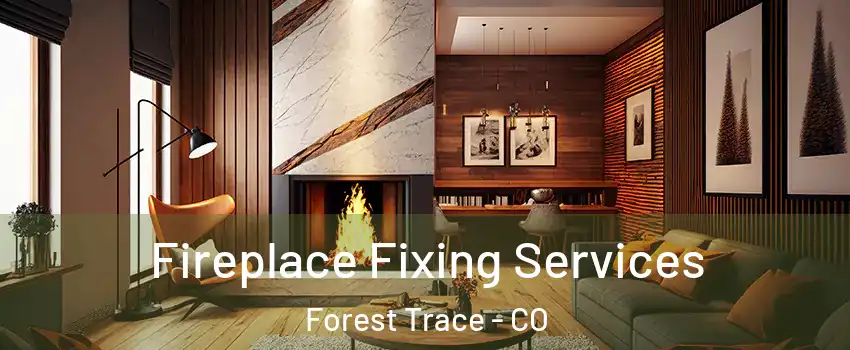 Fireplace Fixing Services Forest Trace - CO