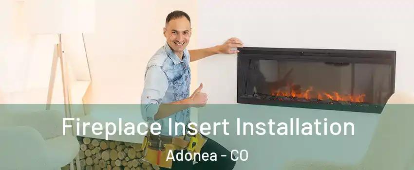 Fireplace Insert Installation Adonea - CO