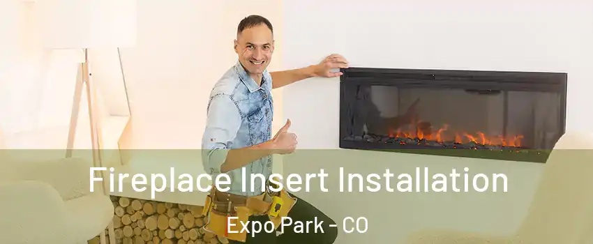 Fireplace Insert Installation Expo Park - CO