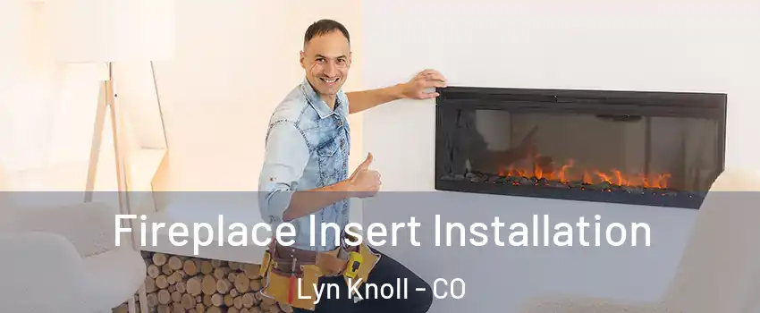 Fireplace Insert Installation Lyn Knoll - CO