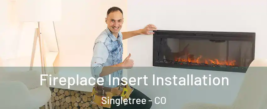 Fireplace Insert Installation Singletree - CO