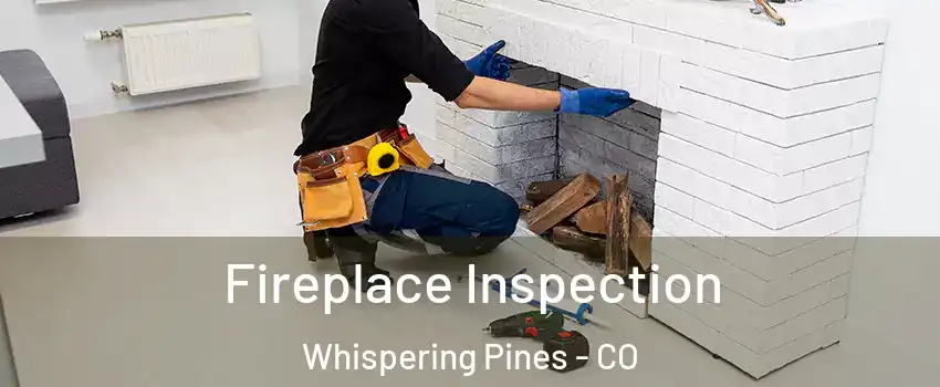 Fireplace Inspection Whispering Pines - CO