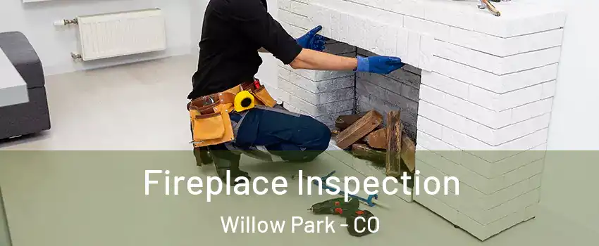 Fireplace Inspection Willow Park - CO