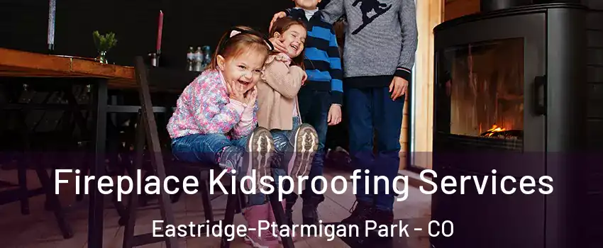 Fireplace Kidsproofing Services Eastridge-Ptarmigan Park - CO