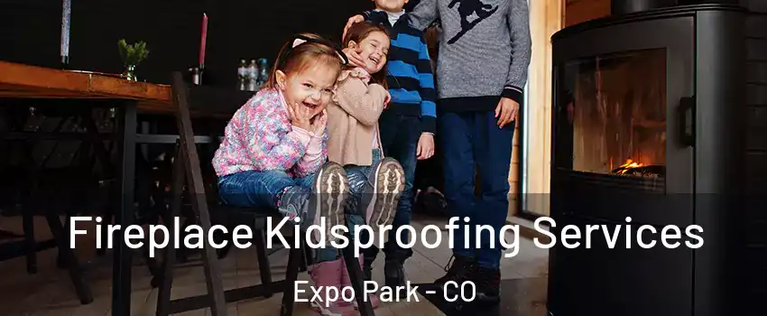 Fireplace Kidsproofing Services Expo Park - CO