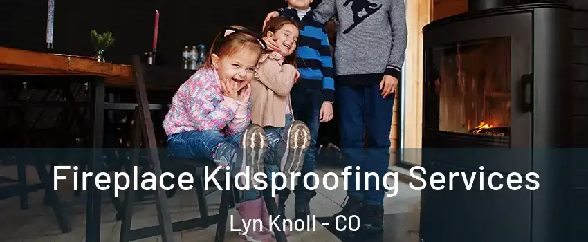 Fireplace Kidsproofing Services Lyn Knoll - CO