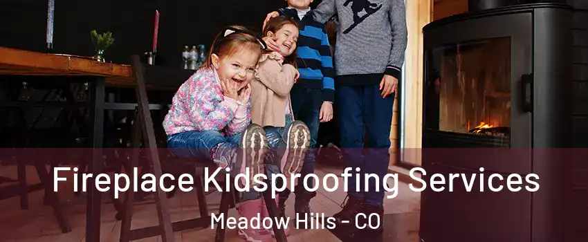 Fireplace Kidsproofing Services Meadow Hills - CO