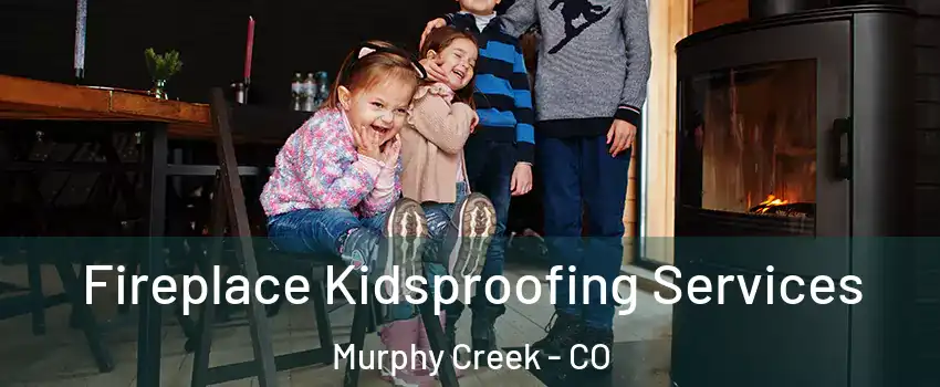 Fireplace Kidsproofing Services Murphy Creek - CO