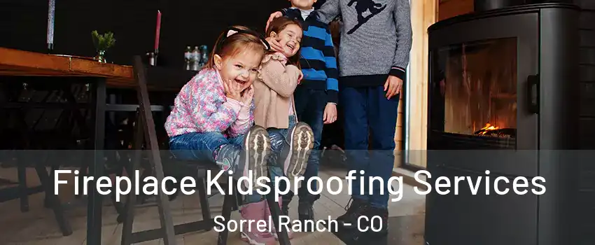 Fireplace Kidsproofing Services Sorrel Ranch - CO