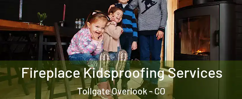 Fireplace Kidsproofing Services Tollgate Overlook - CO