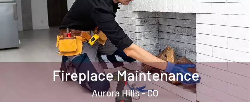 Fireplace Maintenance Aurora Hills - CO