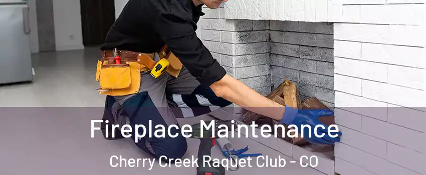 Fireplace Maintenance Cherry Creek Raquet Club - CO