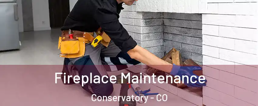 Fireplace Maintenance Conservatory - CO