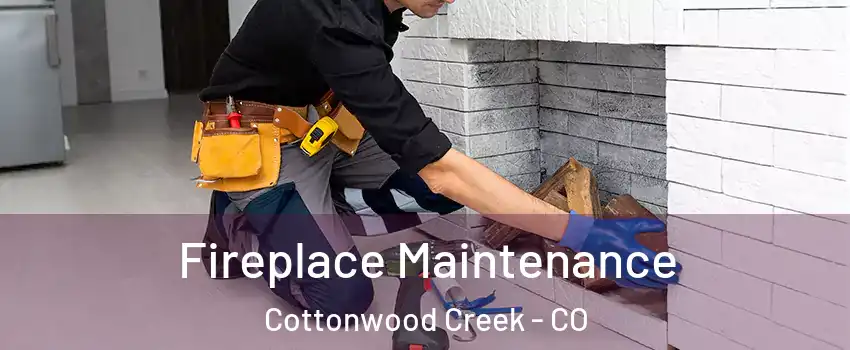 Fireplace Maintenance Cottonwood Creek - CO