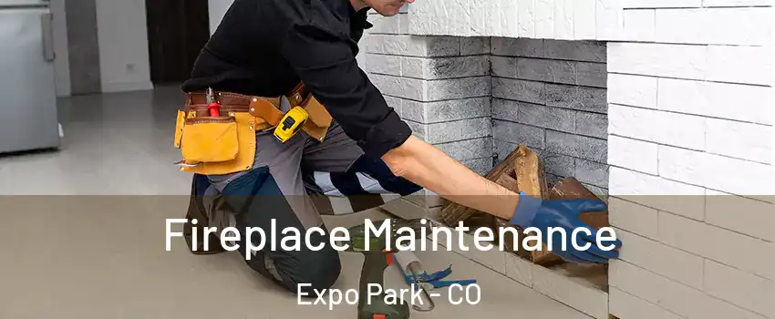 Fireplace Maintenance Expo Park - CO